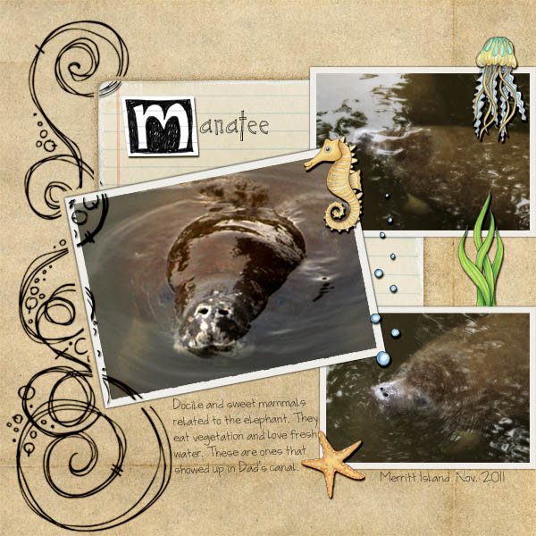 01042013 realistic stamp- Manatee