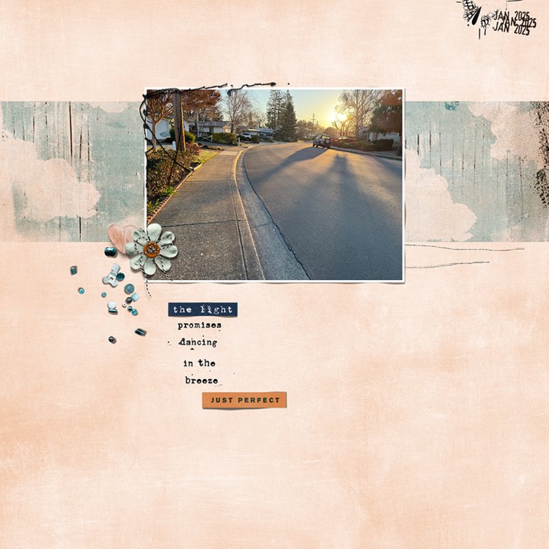 012025_TMM-19Light