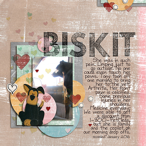 01212016-biskit-copy