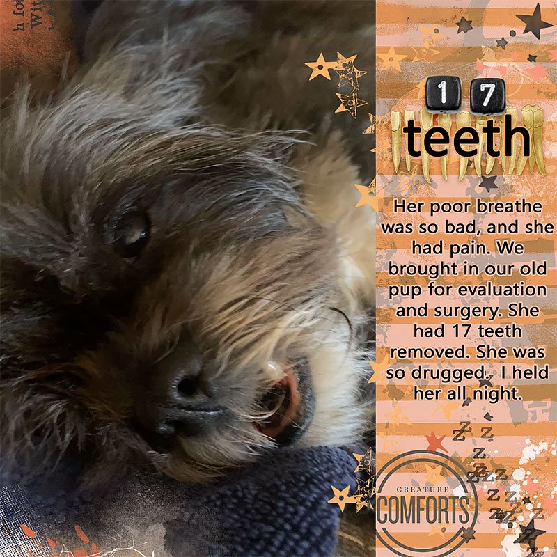 01282026-17-teeth-copy.jpg