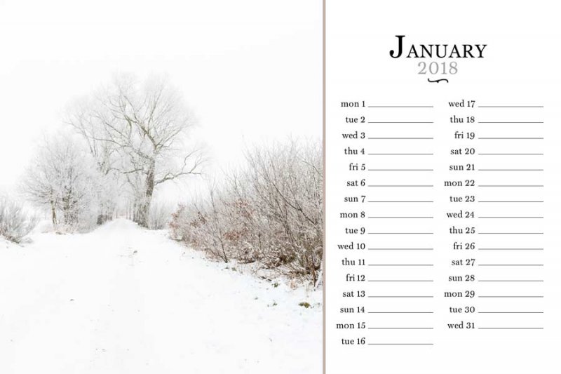 01_sc_photocase18_january_marijke