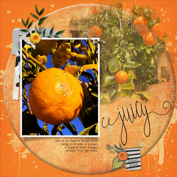 02-04_Host-Christa_Juicy