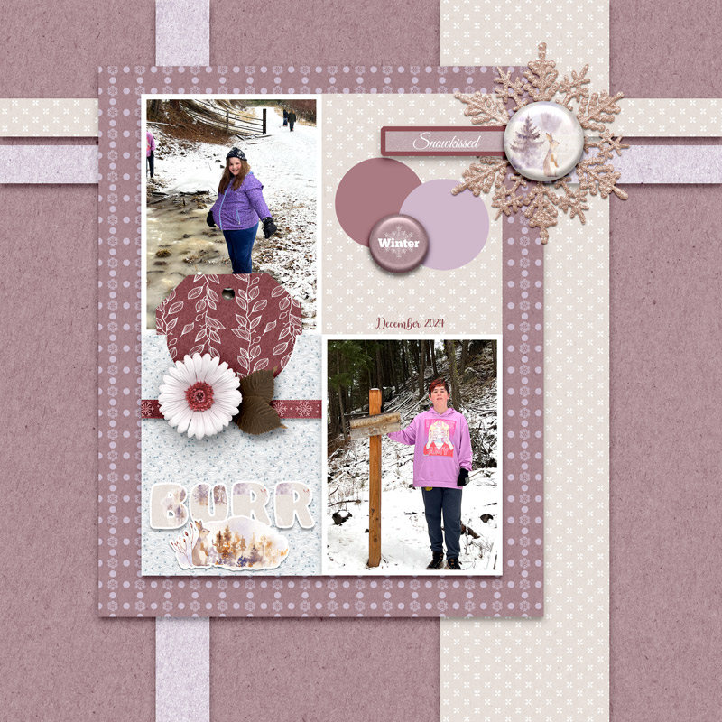 02-12_DBI_Letitsnow_SOSN_Winter