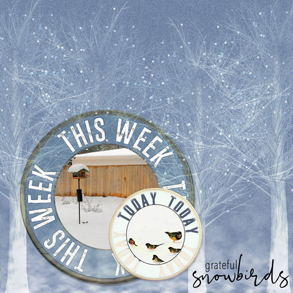 02-15-19_LoveOurDesigners_Birds-In-Snow