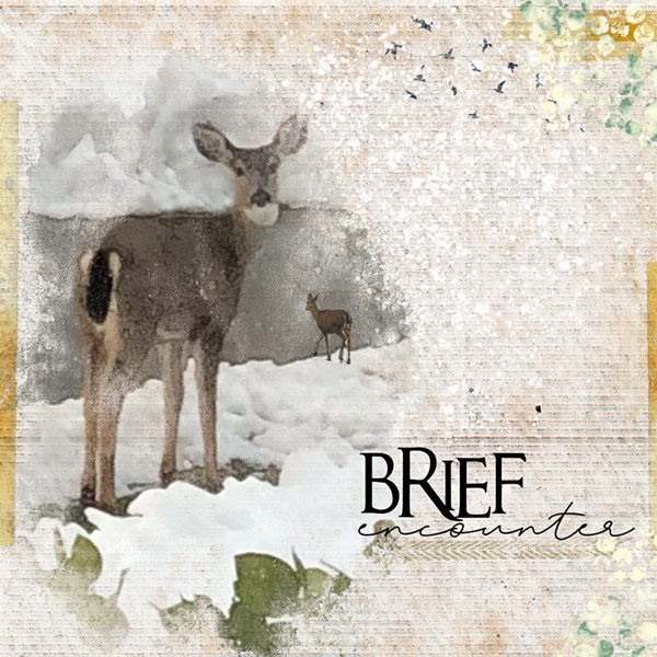 02-19-19_LoveOurDesigners_Brief-Encounter
