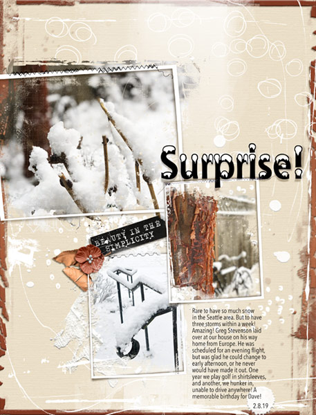 02-19_SurpriseSnow