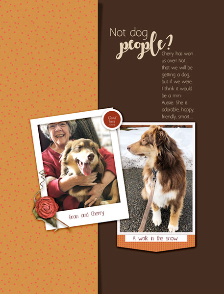 02-20-19_LoveOurDesigners_Not-Dog-People