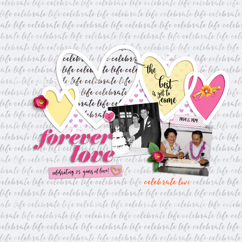 02-MIS_ForeverLove_pks