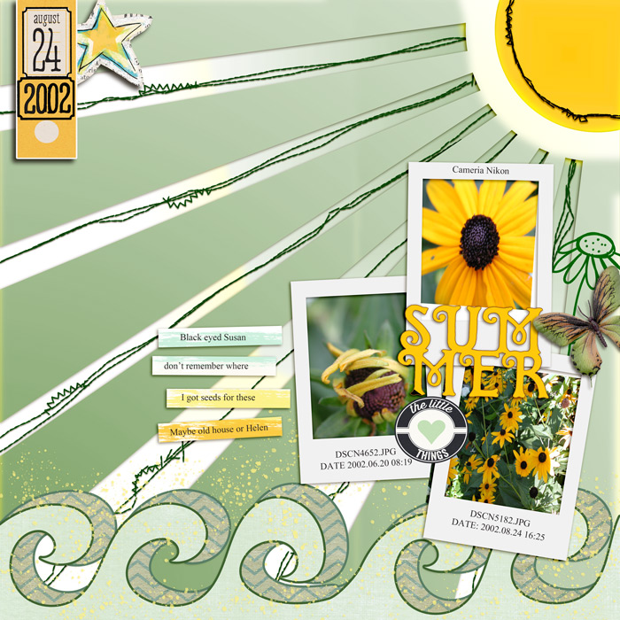 020824_daisy