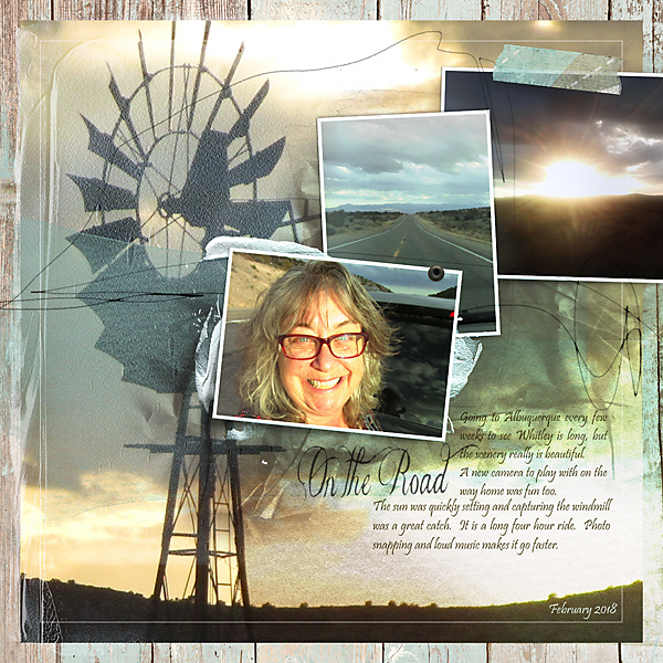 02092018-mom-roadtrip-copy