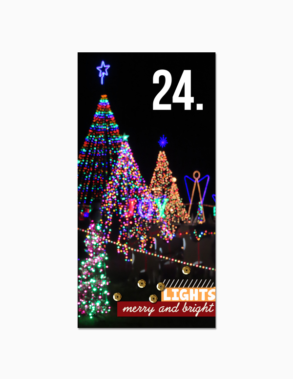 024-Roscoe-Lights_web