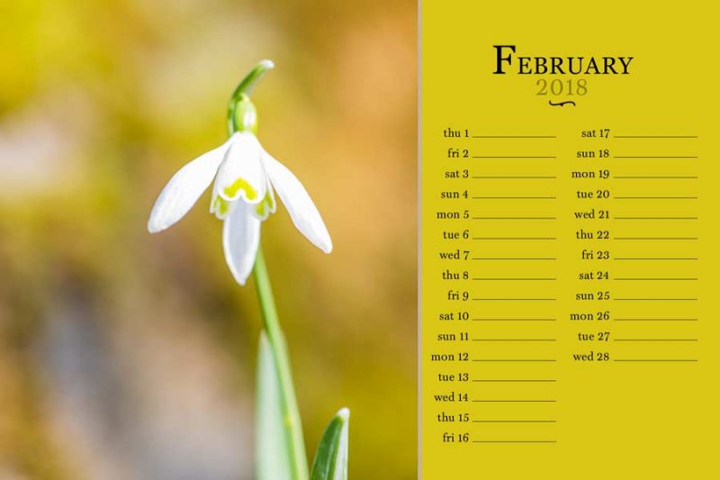 02_sc_photocase18_february