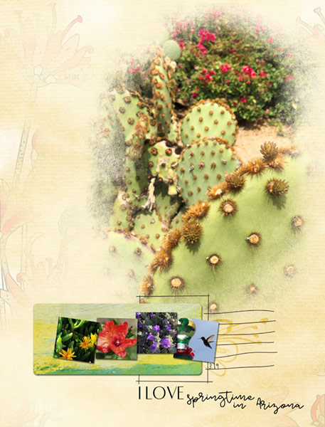 03-19_AZ-SpringFlowers