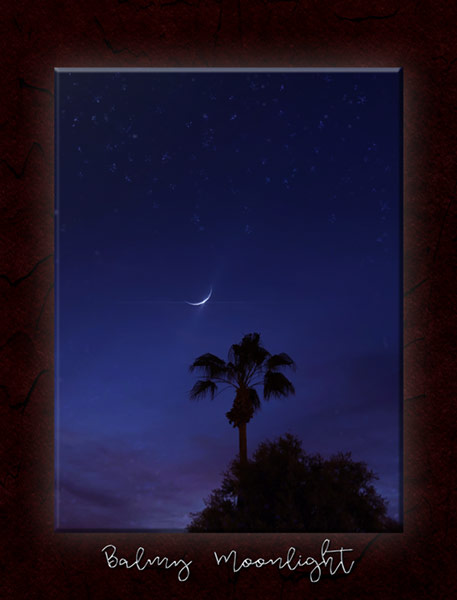 03-19_Balmy Moonlight
