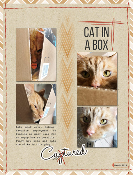 03-19_HobbesInABox
