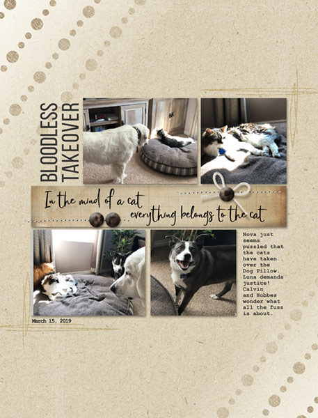 03-19_PetPillowTakeover