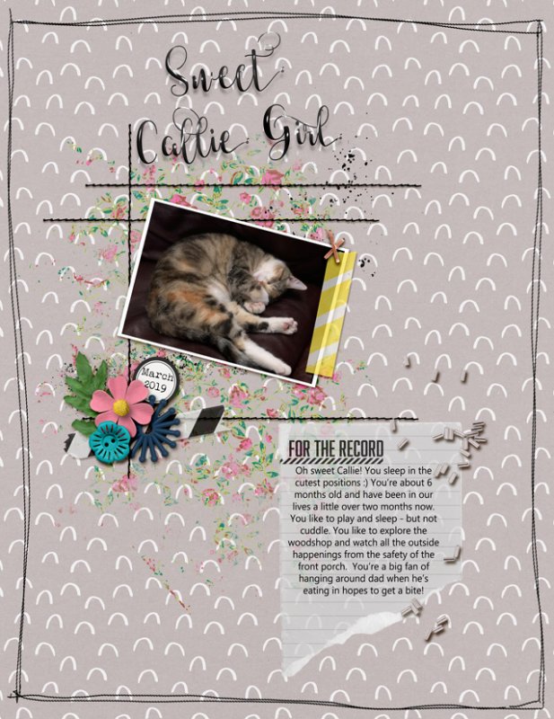 03-2019-PRD-Blog-Challenge-Sweet-Callie-Girl-GAL