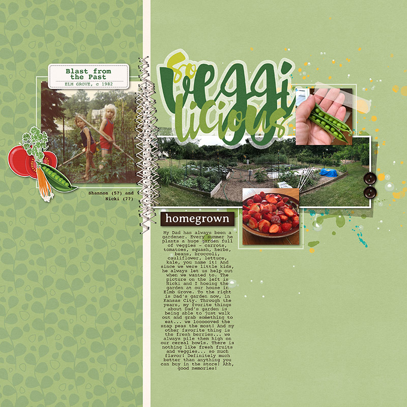 032024_ngd_veggilicious_scc2_800