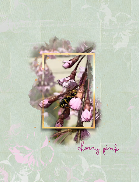 04-01-19_Rotoscoping_CherryBlossoms