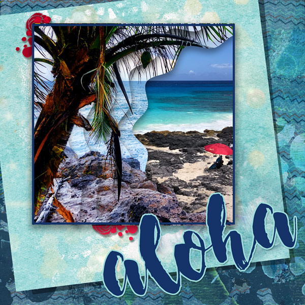 04-15-19_Aloha