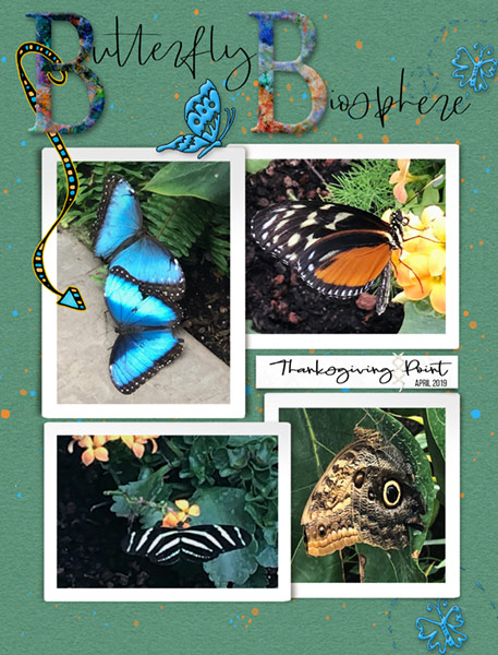 04-19_ButterflyBiosphere