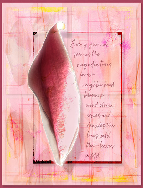 04-19_Wk2_Background_Magnolia