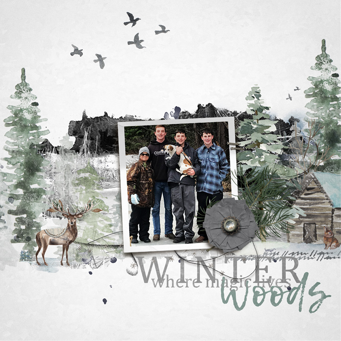 04 - Winter Woods