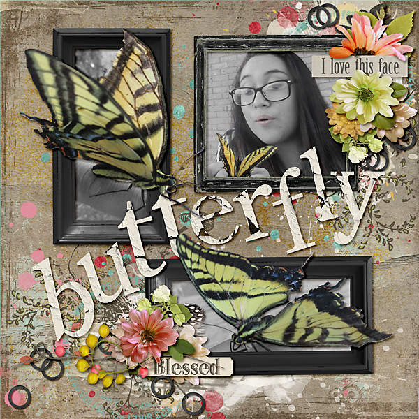04012016-butterfly-copy