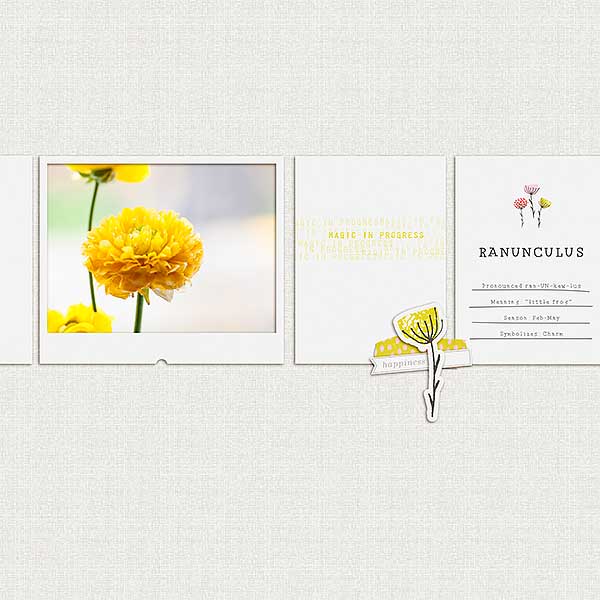 04_28_15-ranunculus