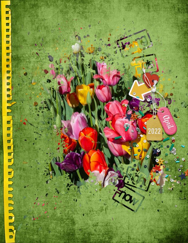 04kimjensen-tulips