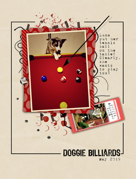 05-06_DoggieBilliards
