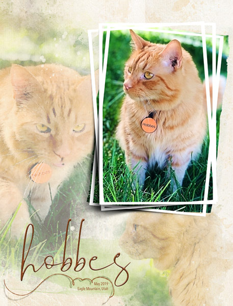 05-13-19_StackedFrames_Hobbes