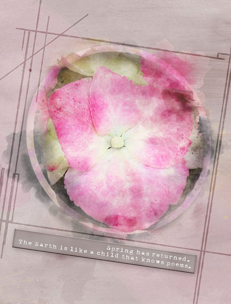 05-13-19_StackedFrames_HydrangeaWatercolor