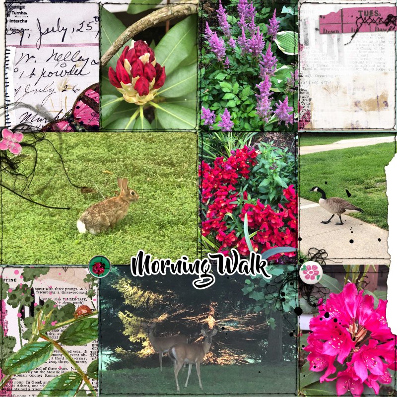 05-2023 May Photography Challenge - Morning Walk