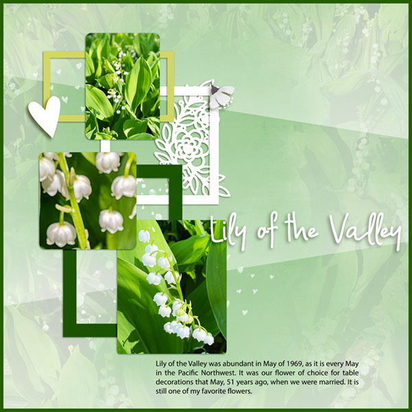 05-20_Lily-of-the-valley