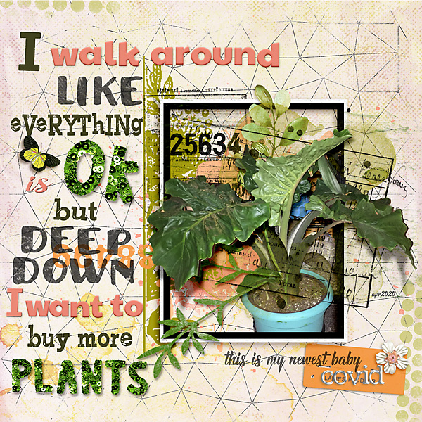 05012020-more-plants-copy