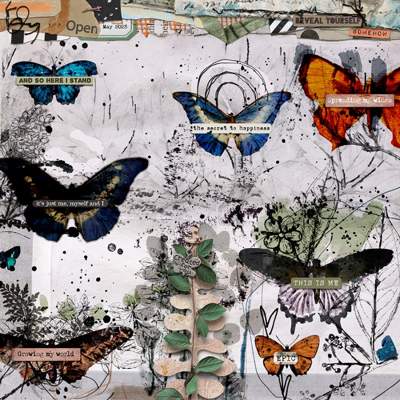 052023RC-butterflies