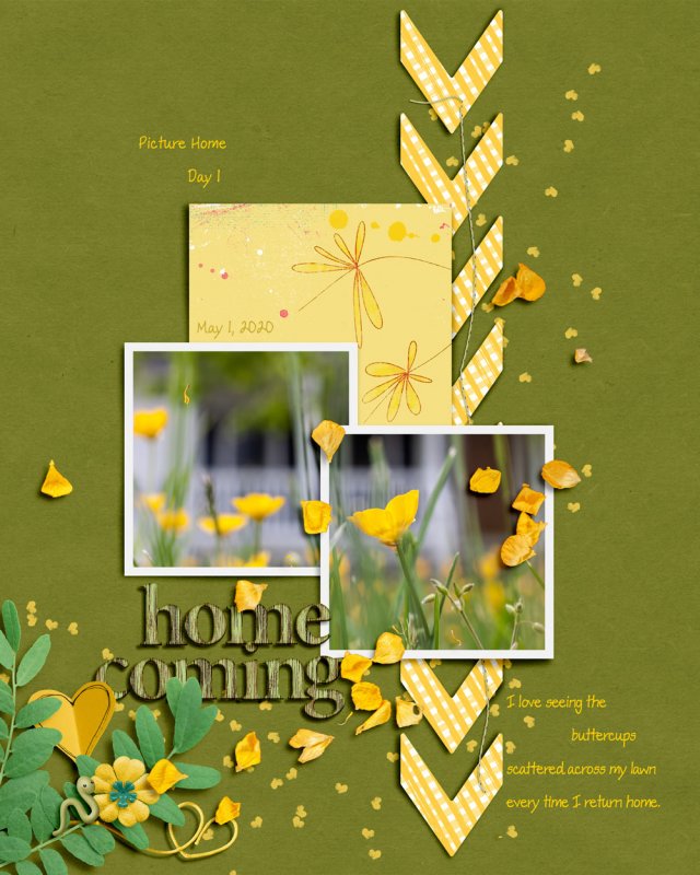05insdSoco_template-buttercups
