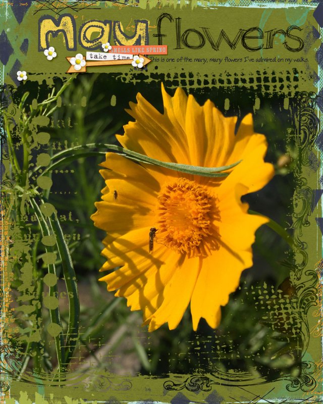 05photog-flowers
