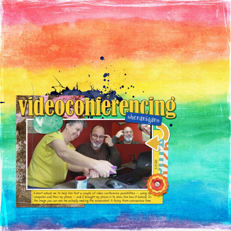 05ss-videoconference