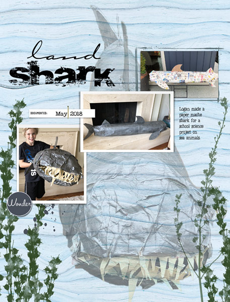 06-18_LandShark