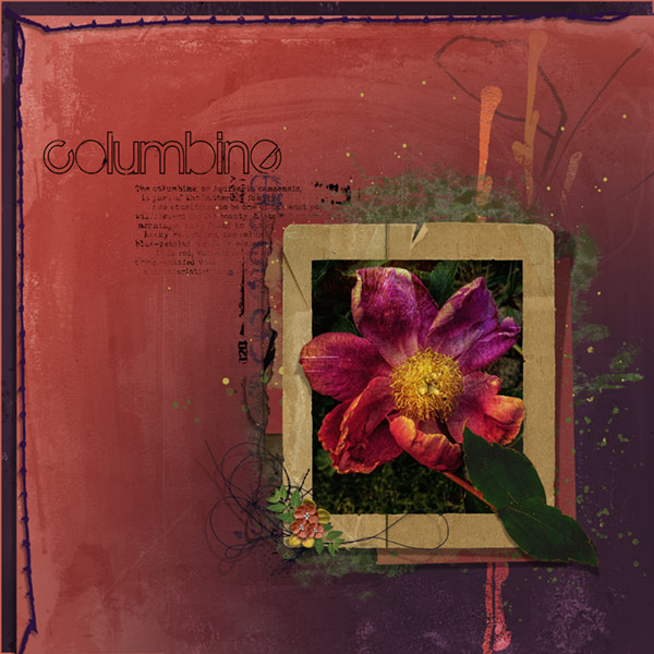 06-19_MixedMedia_Columbine