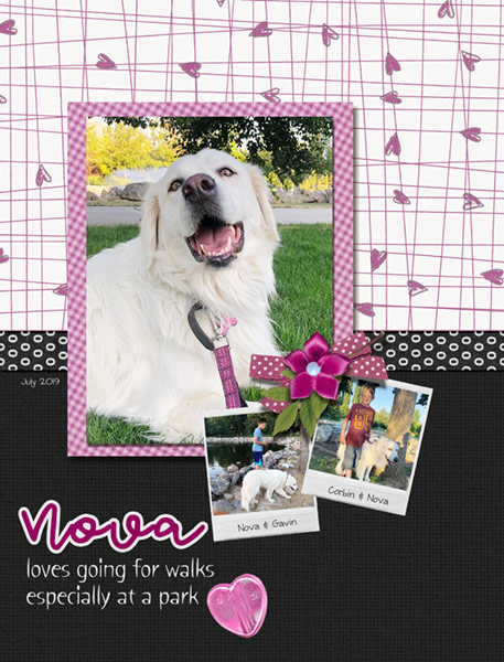 06-19_Nova-WalkInPark