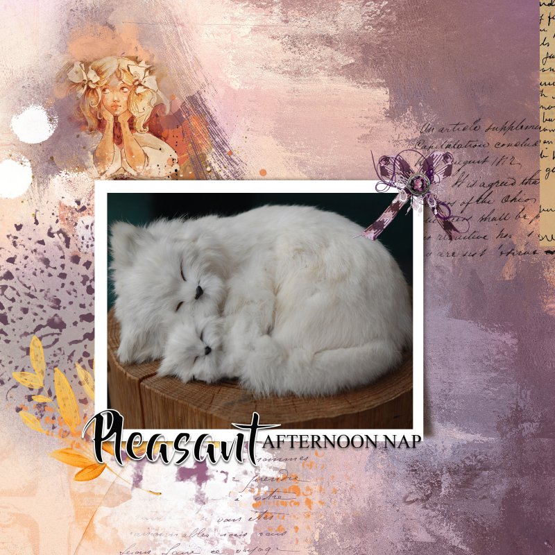 06-2023 Photography Challenge - Pleasant Afternoon Nap