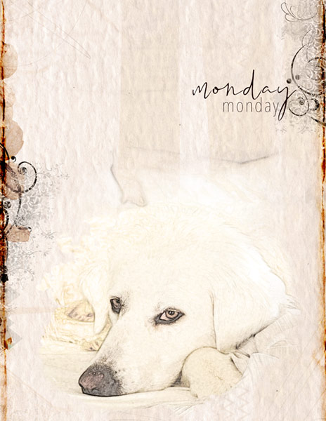 06-20_Advanced_Nova_mondaymonday