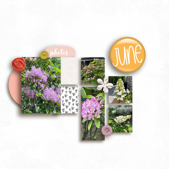 06-Dunia-Designs