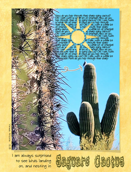 06-ShapeCut-out_Sunshine