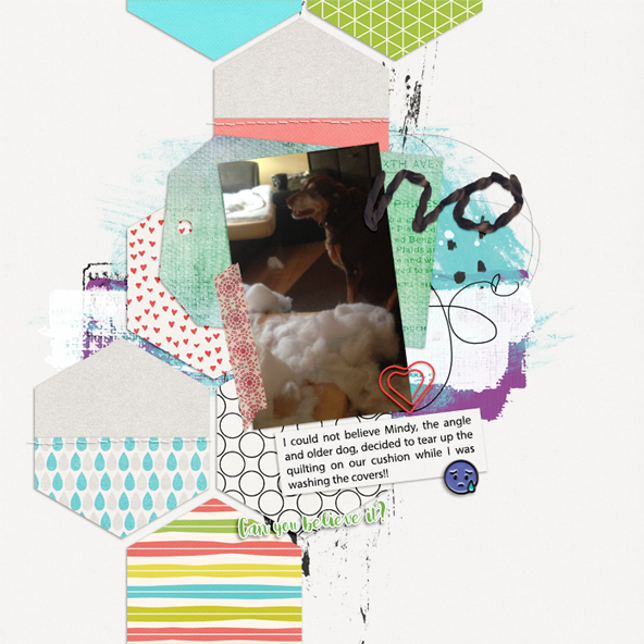 06-SWL