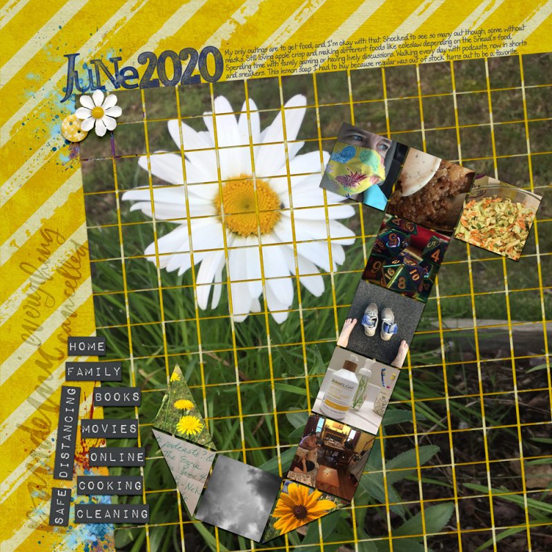 06insp-mosaic-june