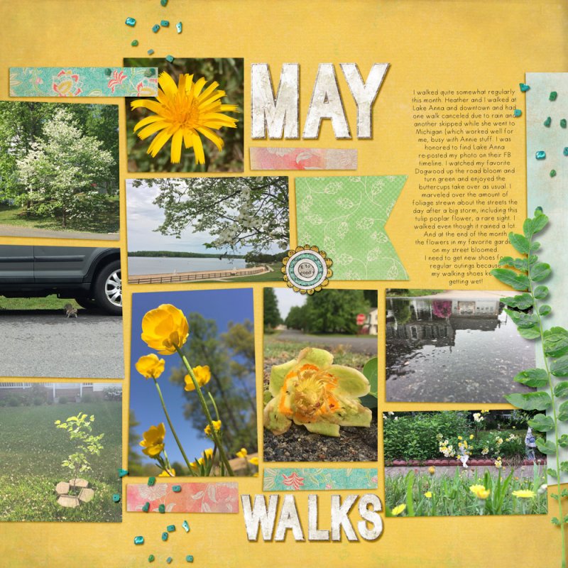 06MIS-MayWalks